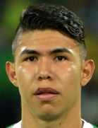 Nicolas Hernandez