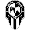 SK Petrin Plzen