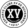 Gremio Novorizontin (Trẻ)