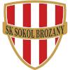 SK Sokol Zapy