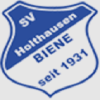 VfV Borussia 06 Hildesheim