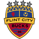 Lansing City