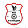 Black Lions FC