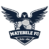 Township Rollers