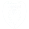 Craigavon City (W)