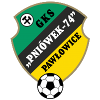 Gornik Polkowice