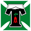 Logo Deportes Temuco