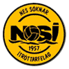 Logo NSI Runavik