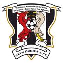 Logo Newi Cefn Druids