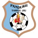 Logo Pandurii