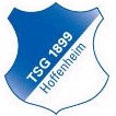 Logo TSG Hoffenheim (Trẻ)