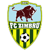 Logo Zimbru Chisinau