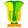 Logo Atletico Palmaflor Vinto