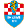 Logo HNK Vukovar 91