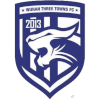Logo Wuhan Three Towns B